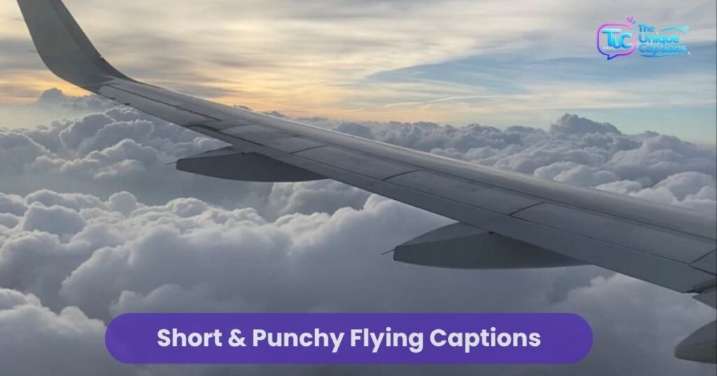 Short & Punchy Flying Captions