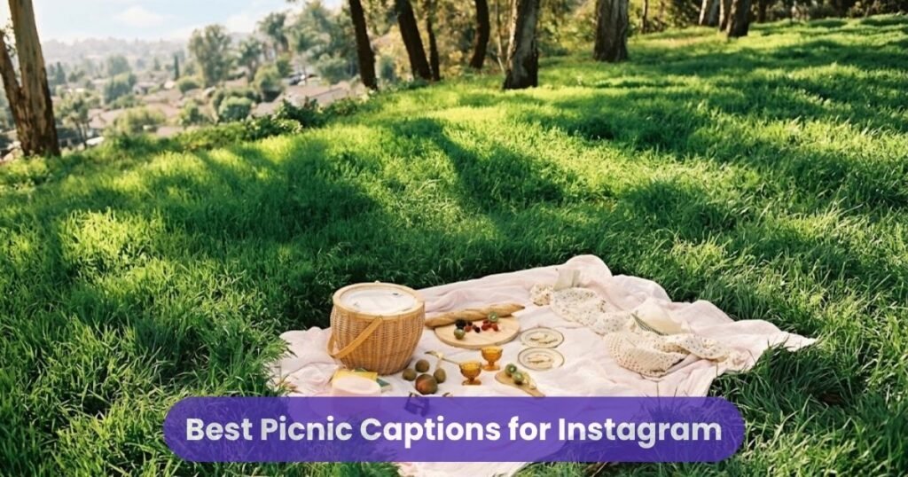 Best Picnic Captions for Instagram