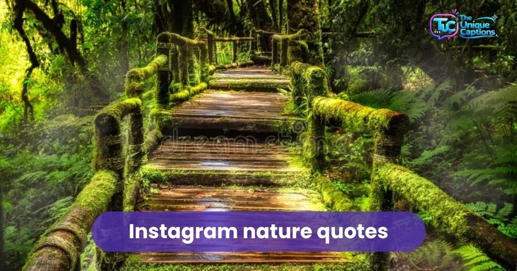 Instagram nature quotes