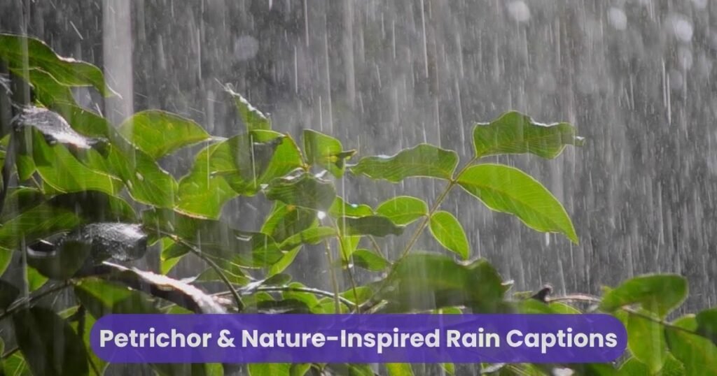 Petrichor & Nature-Inspired Rain Captions