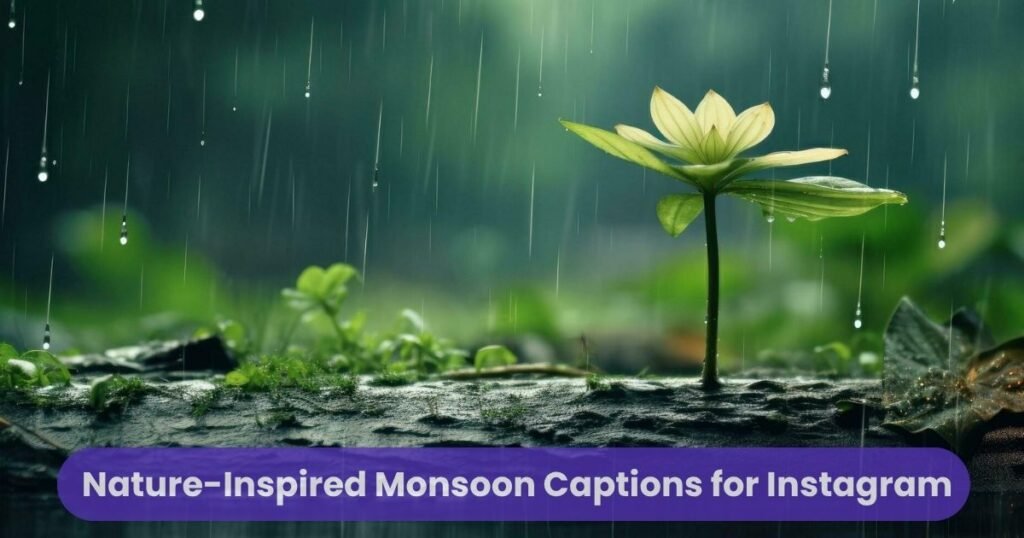 Nature-Inspired Monsoon Captions for Instagram